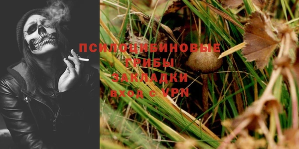 амф Сясьстрой