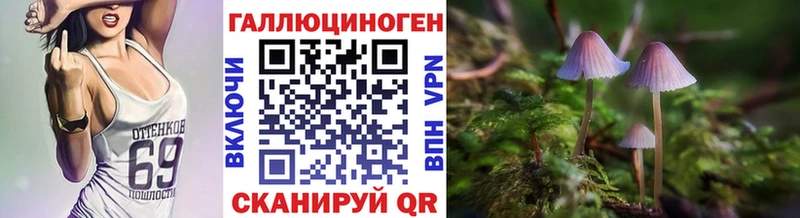 мега ONION  Приволжский  Галлюциногенные грибы прущие грибы 